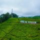 10 Hektar Lahan di Kawasan Puncak Gundul