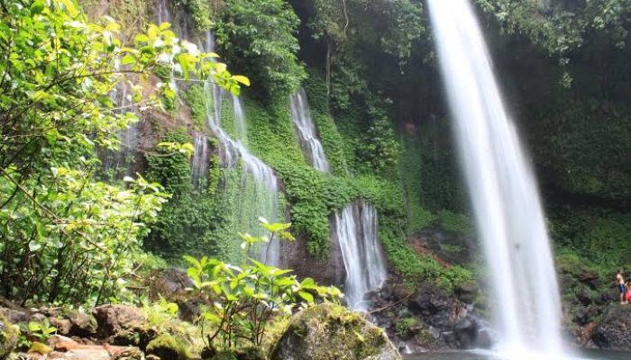 Ingin Liburan Tanpa Rasakan Macet Puncak?, Ini Beberapa Destinasi Wisata Alam Alternatif di Bogor 